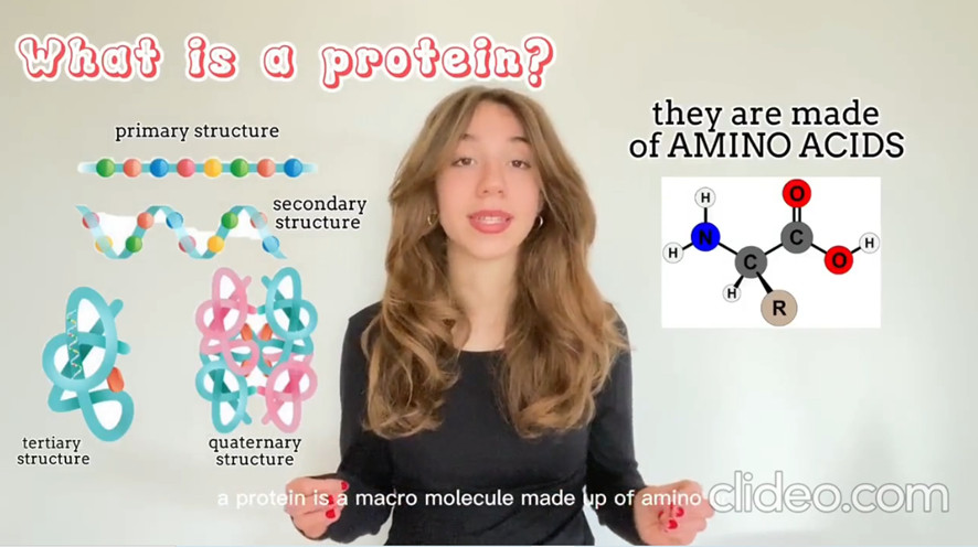 How are proteins made?